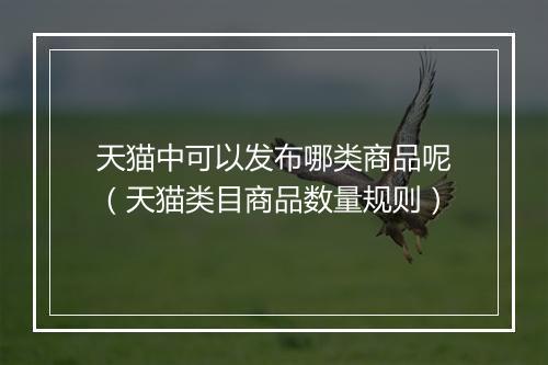 天猫中可以发布哪类商品呢（天猫类目商品数量规则）