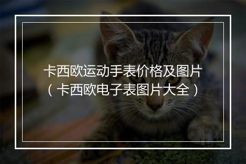 卡西欧运动手表价格及图片（卡西欧电子表图片大全）