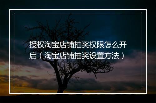 授权淘宝店铺抽奖权限怎么开启（淘宝店铺抽奖设置方法）