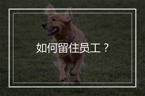 如何留住员工？