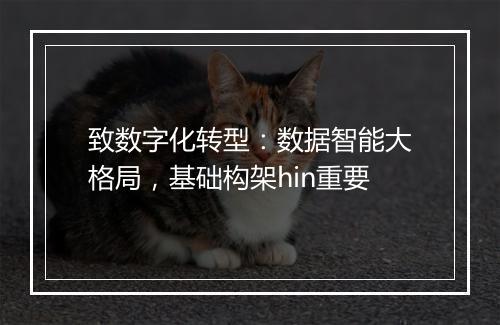 致数字化转型：数据智能大格局，基础构架hin重要