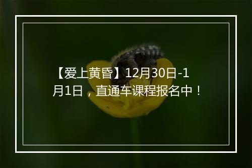 【爱上黄昏】12月30日-1月1日，直通车课程报名中！
