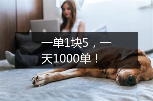 一单1块5，一天1000单！