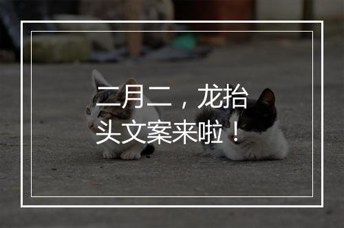 二月二，龙抬头文案来啦！