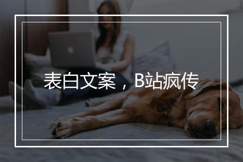 表白文案，B站疯传