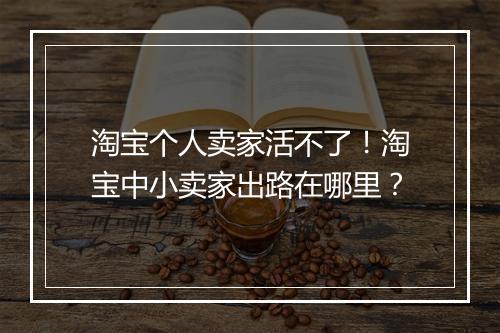 淘宝个人卖家活不了！淘宝中小卖家出路在哪里？
