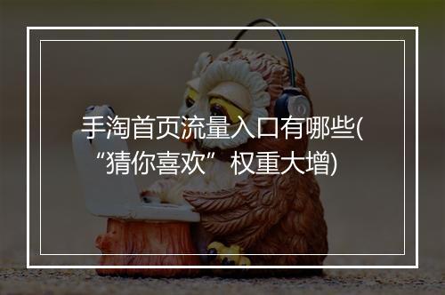 手淘首页流量入口有哪些(“猜你喜欢”权重大增)