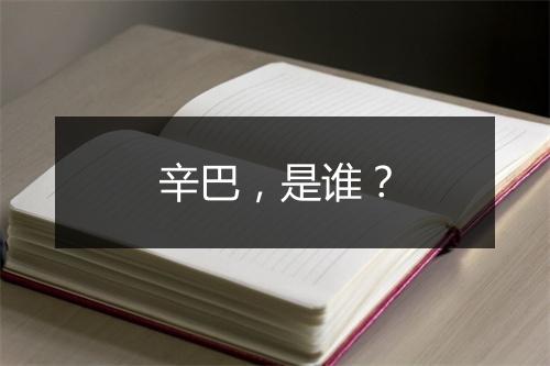 辛巴，是谁？