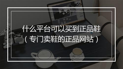 什么平台可以买到正品鞋（专门卖鞋的正品网站）