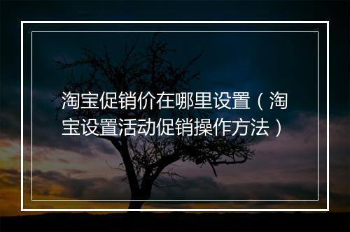 淘宝促销价在哪里设置（淘宝设置活动促销操作方法）