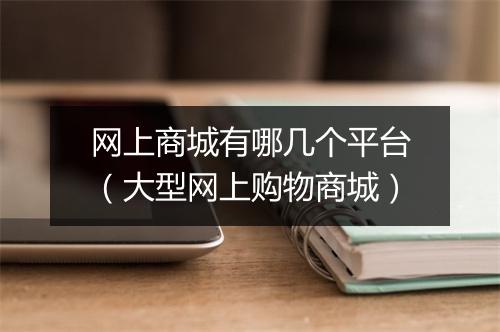网上商城有哪几个平台（大型网上购物商城）