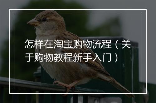 怎样在淘宝购物流程（关于购物教程新手入门）