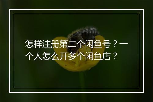 怎样注册第二个闲鱼号？一个人怎么开多个闲鱼店？