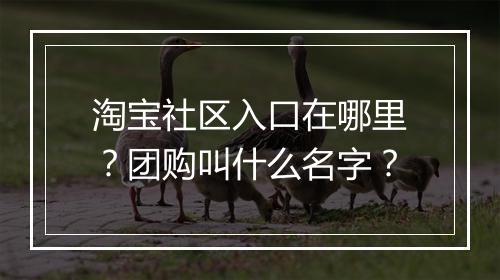 淘宝社区入口在哪里？团购叫什么名字？