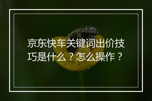 京东快车关键词出价技巧是什么？怎么操作？