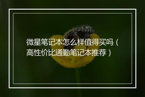 微星笔记本怎么样值得买吗（高性价比通勤笔记本推荐）
