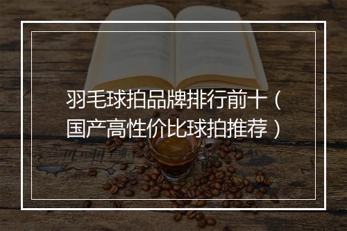 羽毛球拍品牌排行前十（国产高性价比球拍推荐）