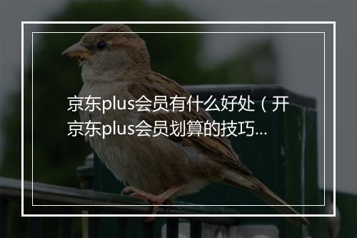 京东plus会员有什么好处（开京东plus会员划算的技巧）