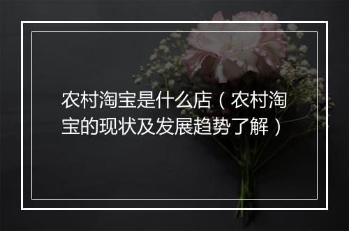 农村淘宝是什么店（农村淘宝的现状及发展趋势了解）