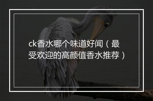 ck香水哪个味道好闻（最受欢迎的高颜值香水推荐）
