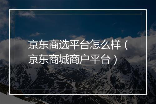 京东商选平台怎么样（京东商城商户平台）