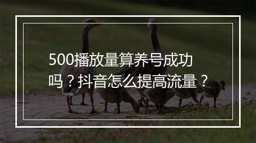500播放量算养号成功吗？抖音怎么提高流量？