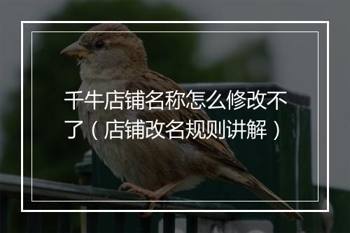 千牛店铺名称怎么修改不了（店铺改名规则讲解）