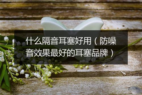 什么隔音耳塞好用（防噪音效果最好的耳塞品牌）