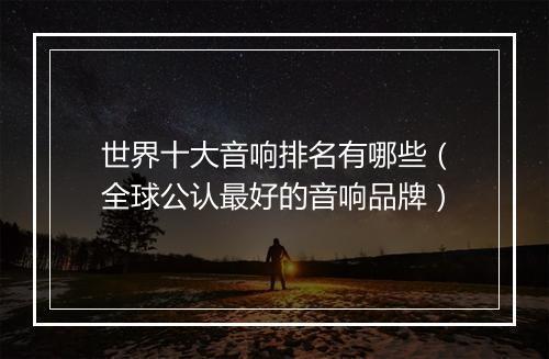 世界十大音响排名有哪些（全球公认最好的音响品牌）