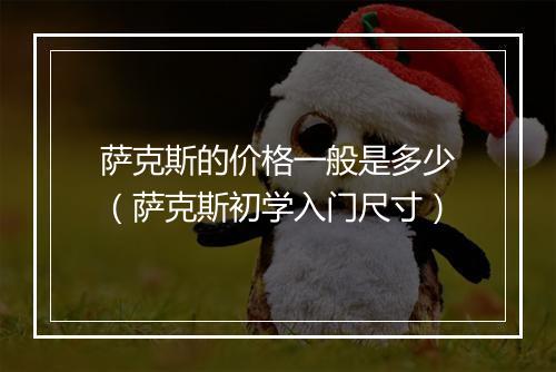 萨克斯的价格一般是多少（萨克斯初学入门尺寸）