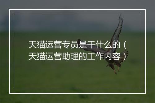 天猫运营专员是干什么的（天猫运营助理的工作内容）