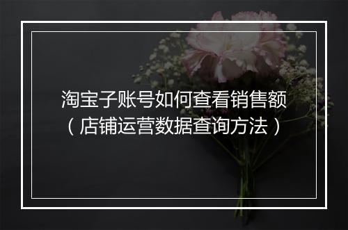 淘宝子账号如何查看销售额（店铺运营数据查询方法）