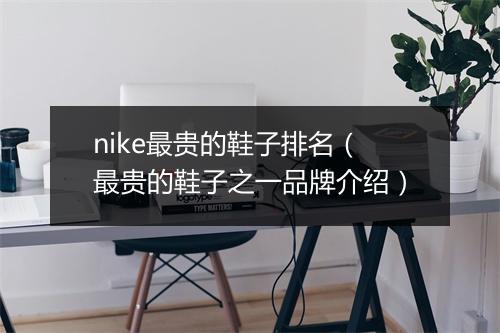 nike最贵的鞋子排名（最贵的鞋子之一品牌介绍）