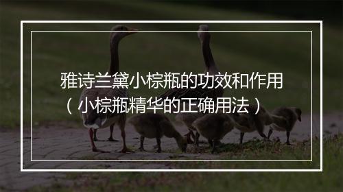 雅诗兰黛小棕瓶的功效和作用（小棕瓶精华的正确用法）