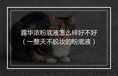 露华浓粉底液怎么样好不好（一整天不脱妆的粉底液）