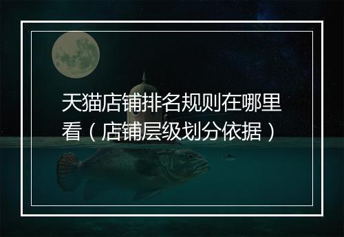 天猫店铺排名规则在哪里看（店铺层级划分依据）