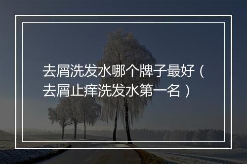 去屑洗发水哪个牌子最好（去屑止痒洗发水第一名）