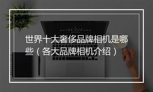 世界十大奢侈品牌相机是哪些（各大品牌相机介绍）