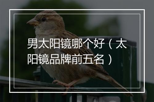 男太阳镜哪个好（太阳镜品牌前五名）