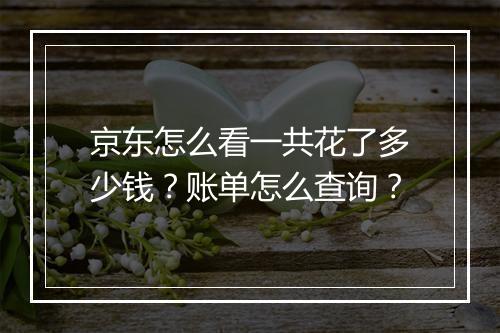 京东怎么看一共花了多少钱？账单怎么查询？