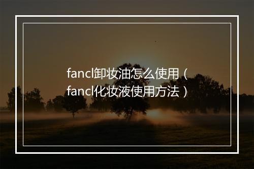 fancl卸妆油怎么使用（fancl化妆液使用方法）
