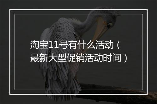 淘宝11号有什么活动（最新大型促销活动时间）
