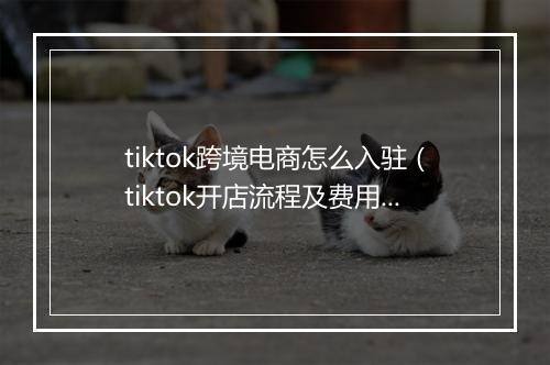tiktok跨境电商怎么入驻（tiktok开店流程及费用）
