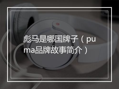 彪马是哪国牌子（puma品牌故事简介）