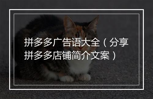 拼多多广告语大全（分享拼多多店铺简介文案）