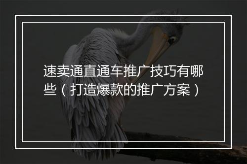 速卖通直通车推广技巧有哪些（打造爆款的推广方案）