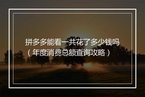 拼多多能看一共花了多少钱吗（年度消费总额查询攻略）