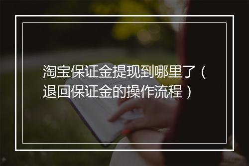 淘宝保证金提现到哪里了（退回保证金的操作流程）