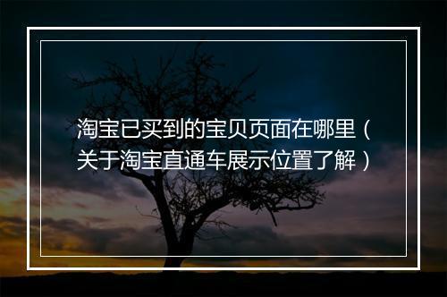 淘宝已买到的宝贝页面在哪里（关于淘宝直通车展示位置了解）