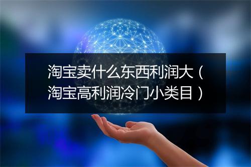 淘宝卖什么东西利润大（淘宝高利润冷门小类目）